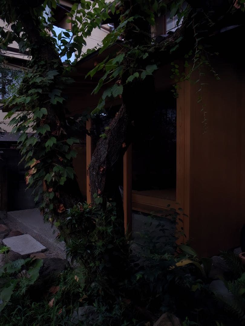 RICOH GR DIGITAL Ⅲ コンパクトデジタルカメラ