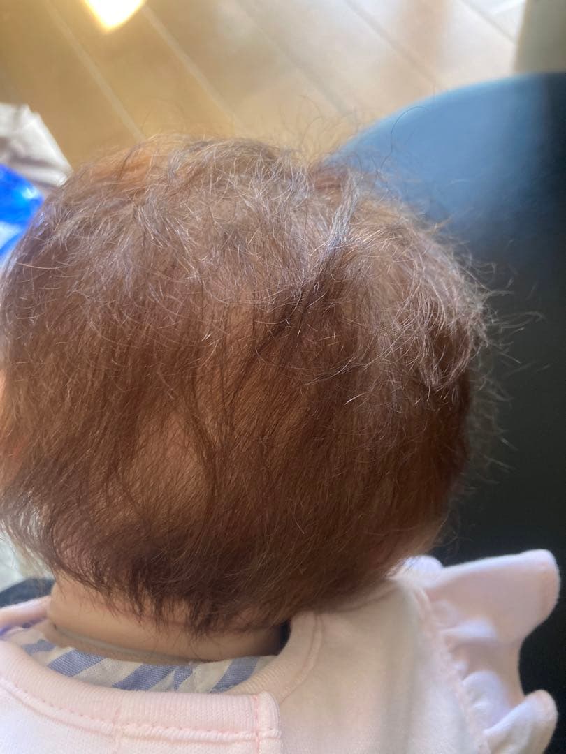 リボーンドール