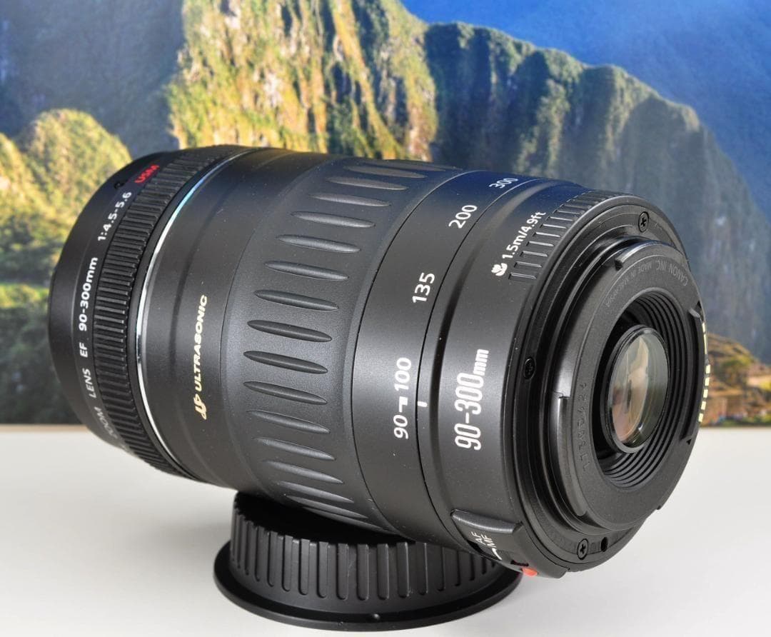 Canon EF 90-300mm USM 望遠ズーム 整備済 フード付キヤノン