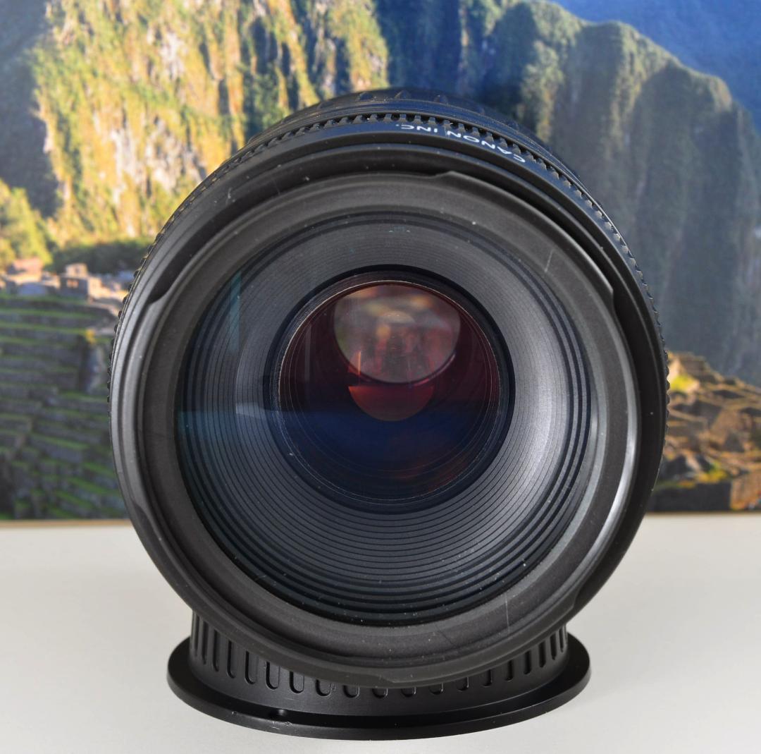 Canon EF 90-300mm USM 望遠ズーム 整備済 フード付キヤノン