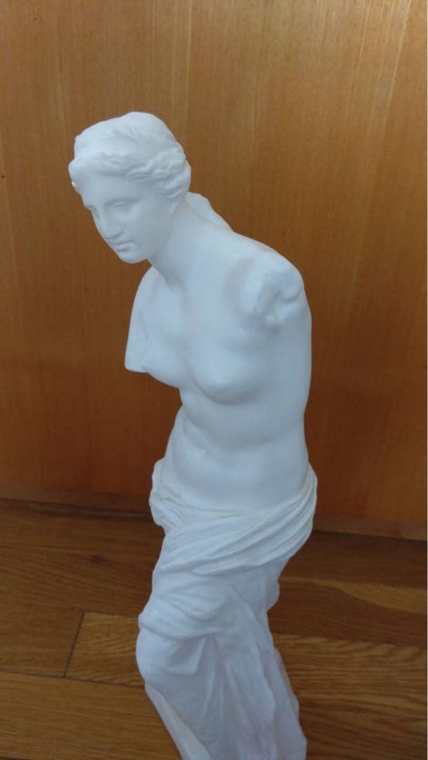 ミロのヴィーナス 石膏像 彫刻 デッサン
