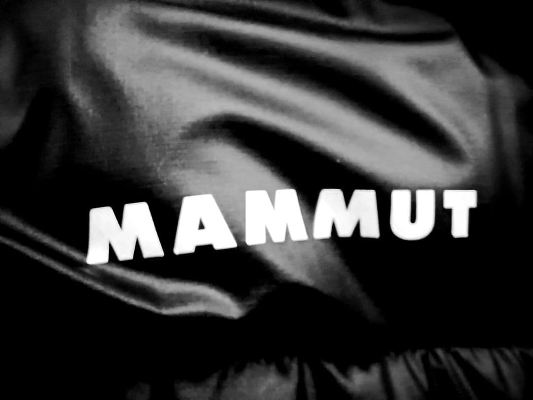 MAMMUT Gravity IN Hooded Jacket　マムート ダウン