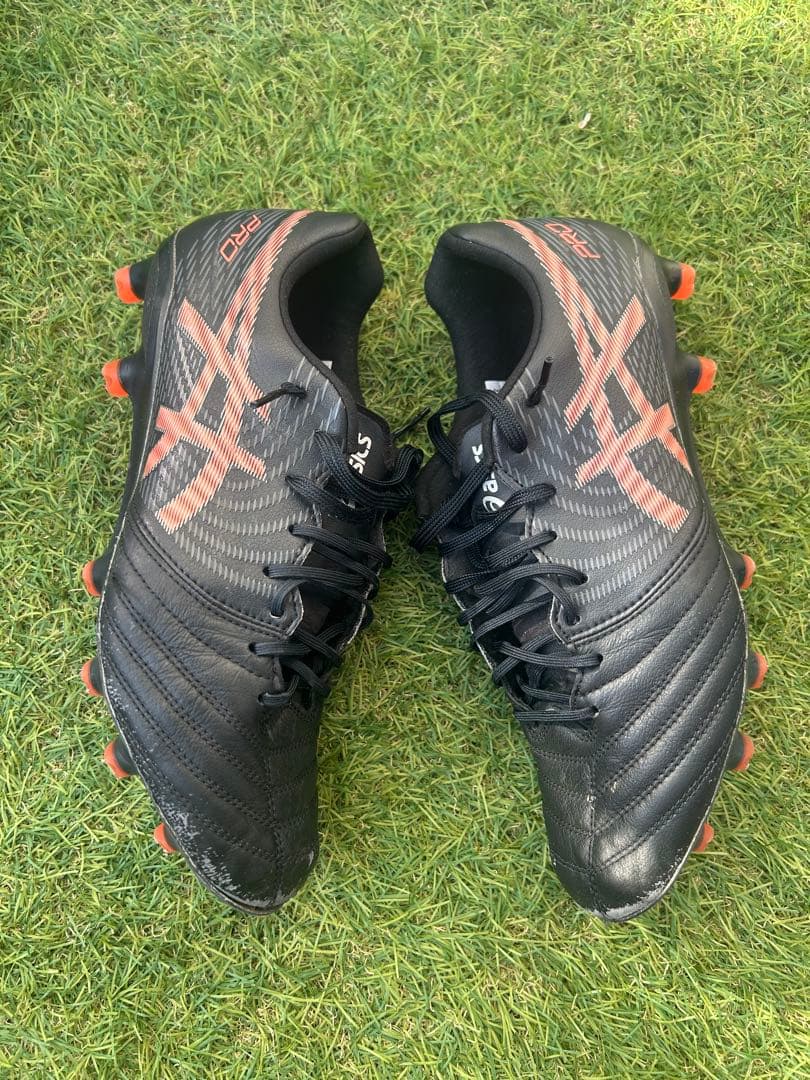 DS LIGHT X-FLY PRO 2 2足セット