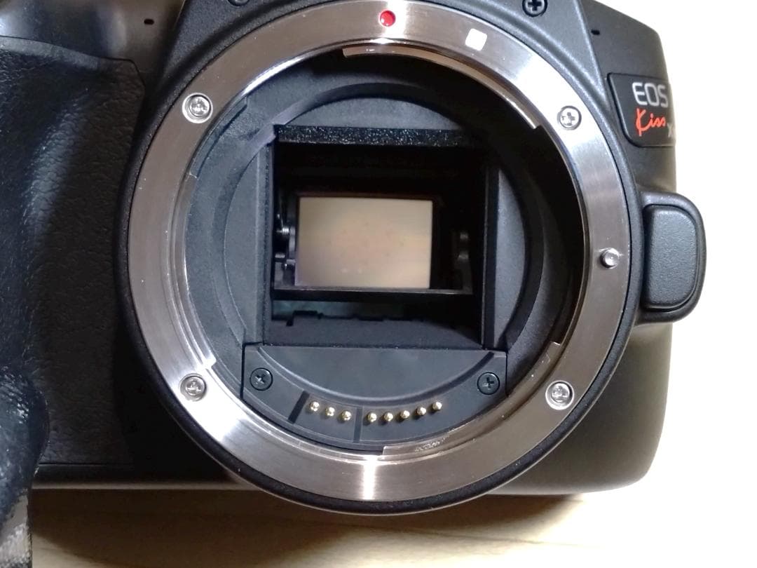 デジタルカメラ Canon EOS Kiss X10 / REBEL SL3 / 200D II