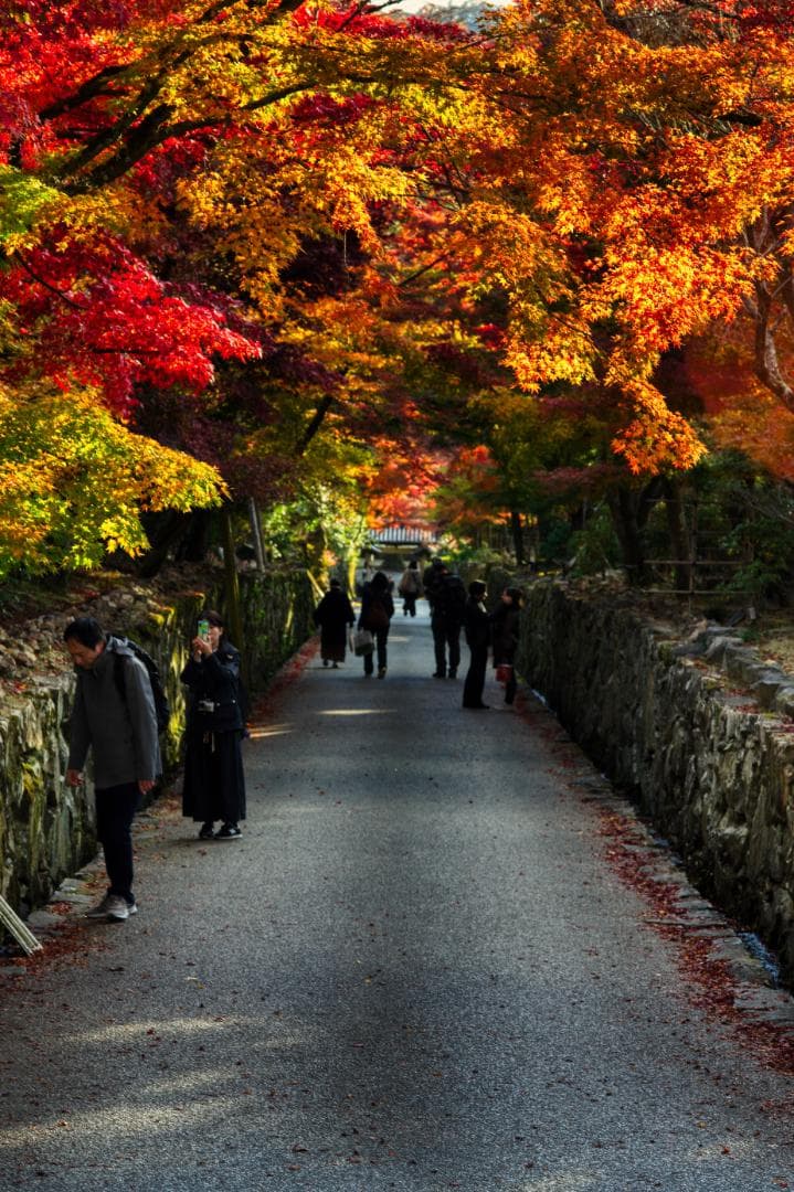 【希少・銘玉】Carl Zeiss Makro Planar 100mm f2