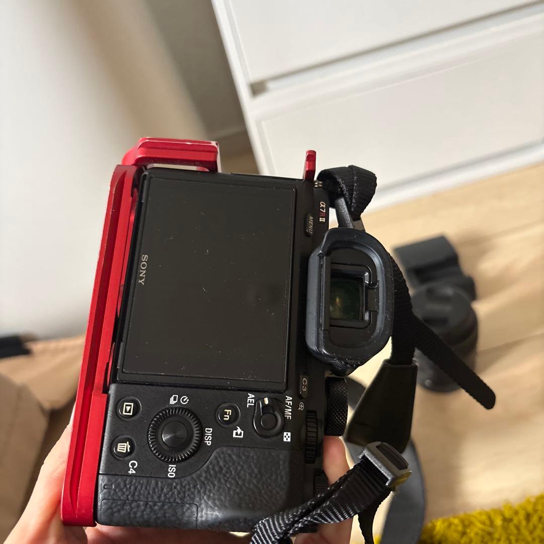 ぱ*ん様 α7RⅡ sigma50mm F 1.4