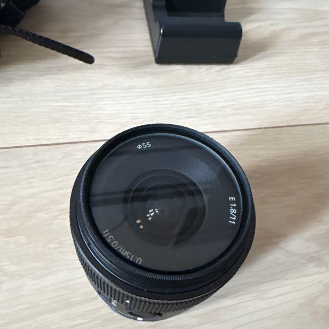 ぱ*ん様 α7RⅡ sigma50mm F 1.4