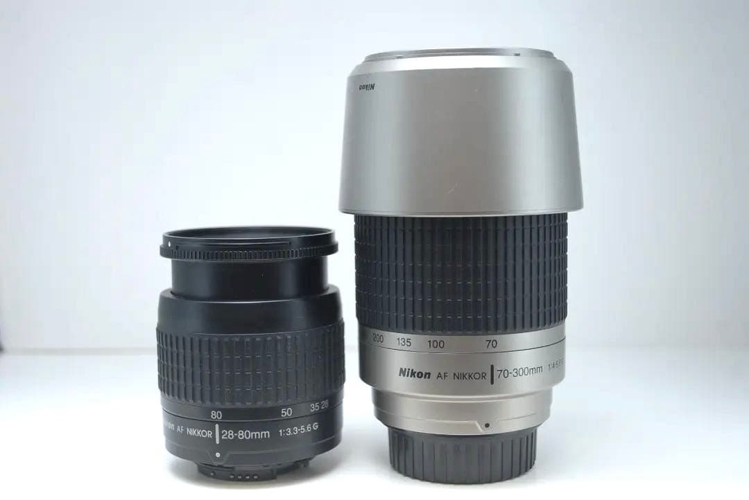 ⭐️即購入で値下げします⭐️ Nikon D50ダブルセット コスパ重視