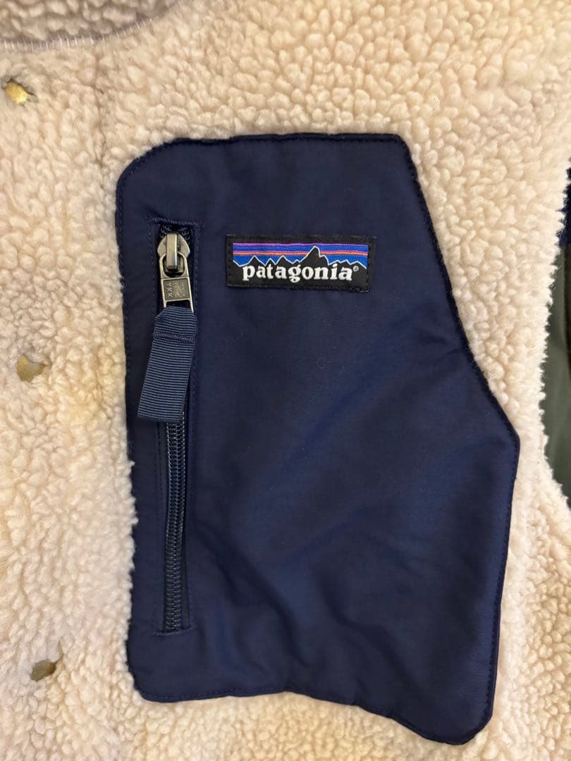 パタゴニア メンズ・リバーシブル・ビビー・ダウン・ベスト　廃盤　希少色