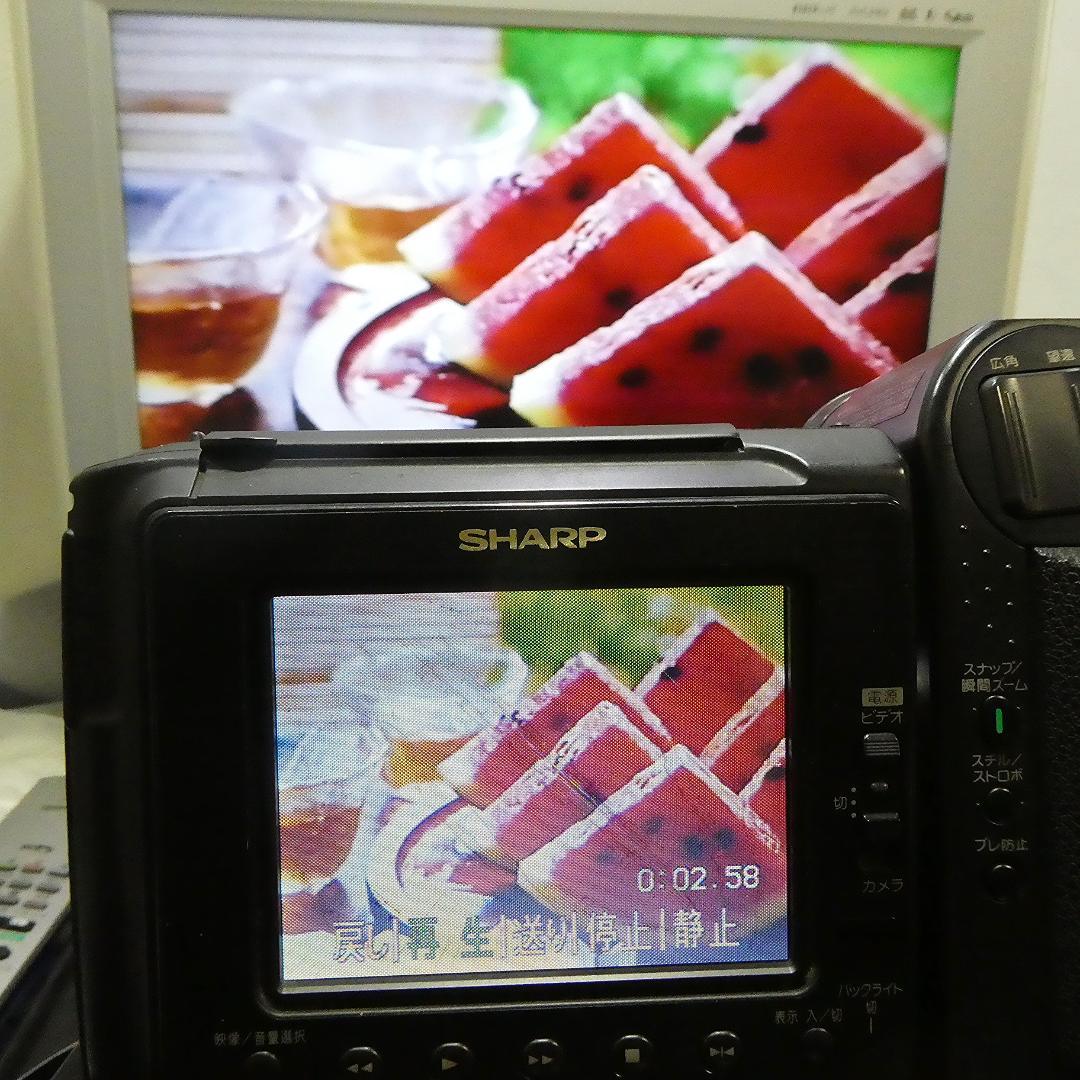 動作良好　Video.Hi8 シャープVL-HL3 8ミリビデオカメラDVD化に