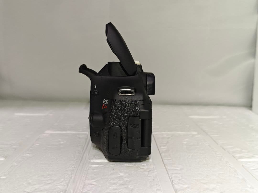 Canon EOS デジタル一眼レフカメラセット