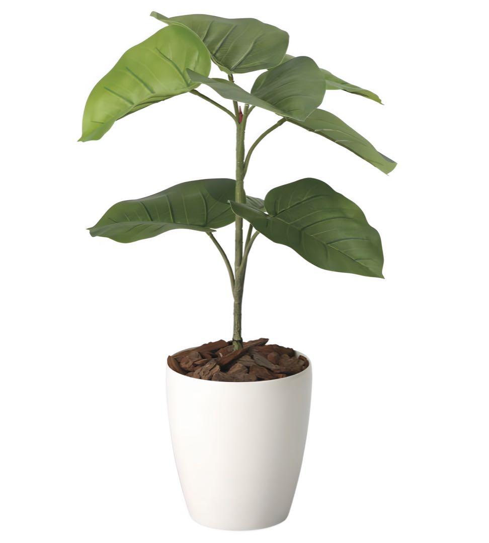 光触媒　人工観葉植物　ウォールグリーン　フェイクグリーン　ウンベラータ60