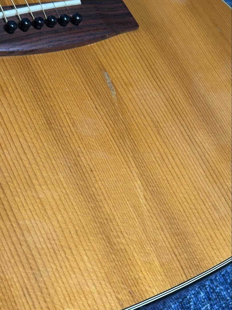 Yamaha FG-160 ハードケース付き