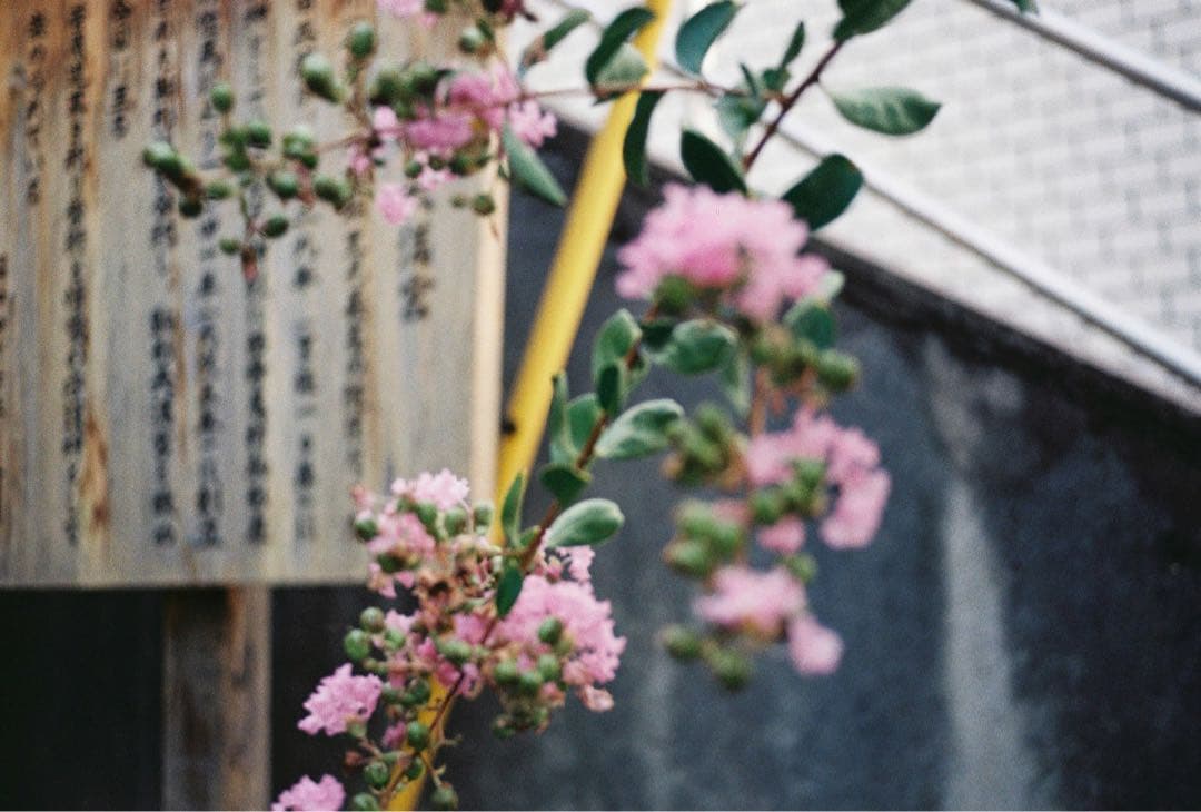 Leica minilux コンパクトフィルムカメラ