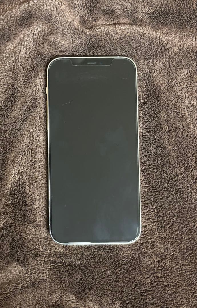 【金曜まで】iPhone12pro 256GB SIMロック解除 シルバー