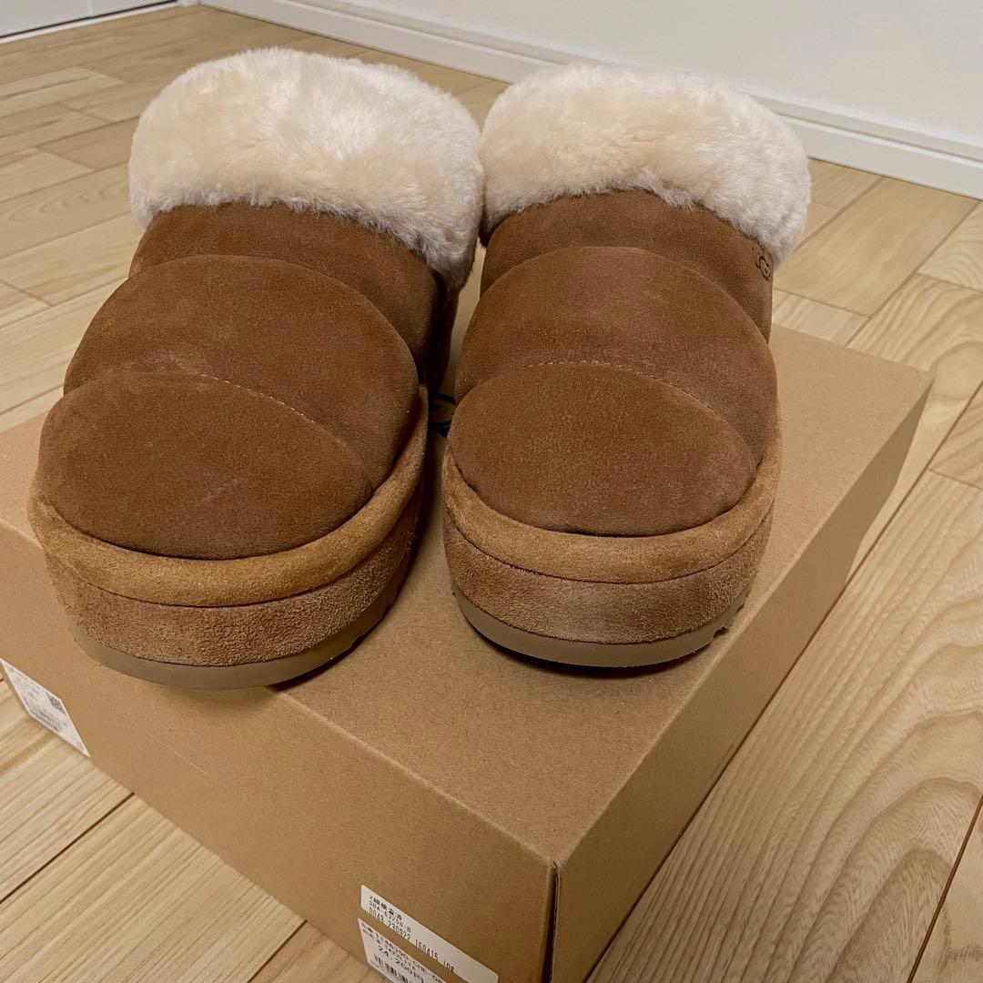 【新品未使用】UGG Tazzlita タズリータ 25㎝ 正規品 希少