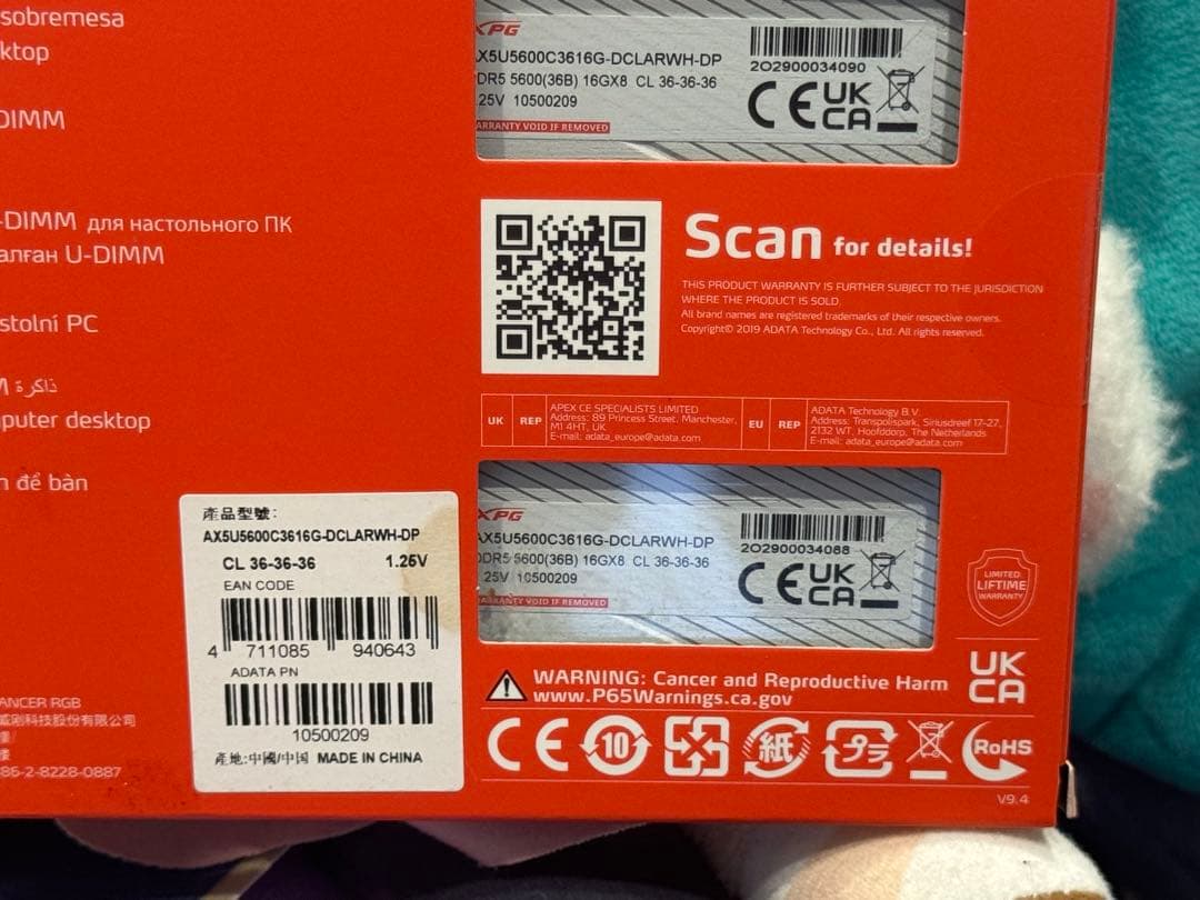 メモリー XPG LANCER RGB DDR5 16GB 5600MT/s