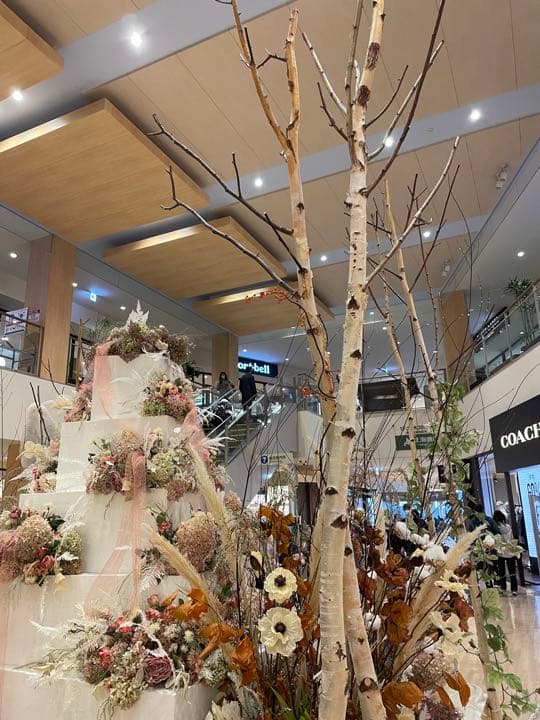白樺の木　北海道インテリア　店舗用ディスプレイ　クリスマス装飾　インテリア雑貨