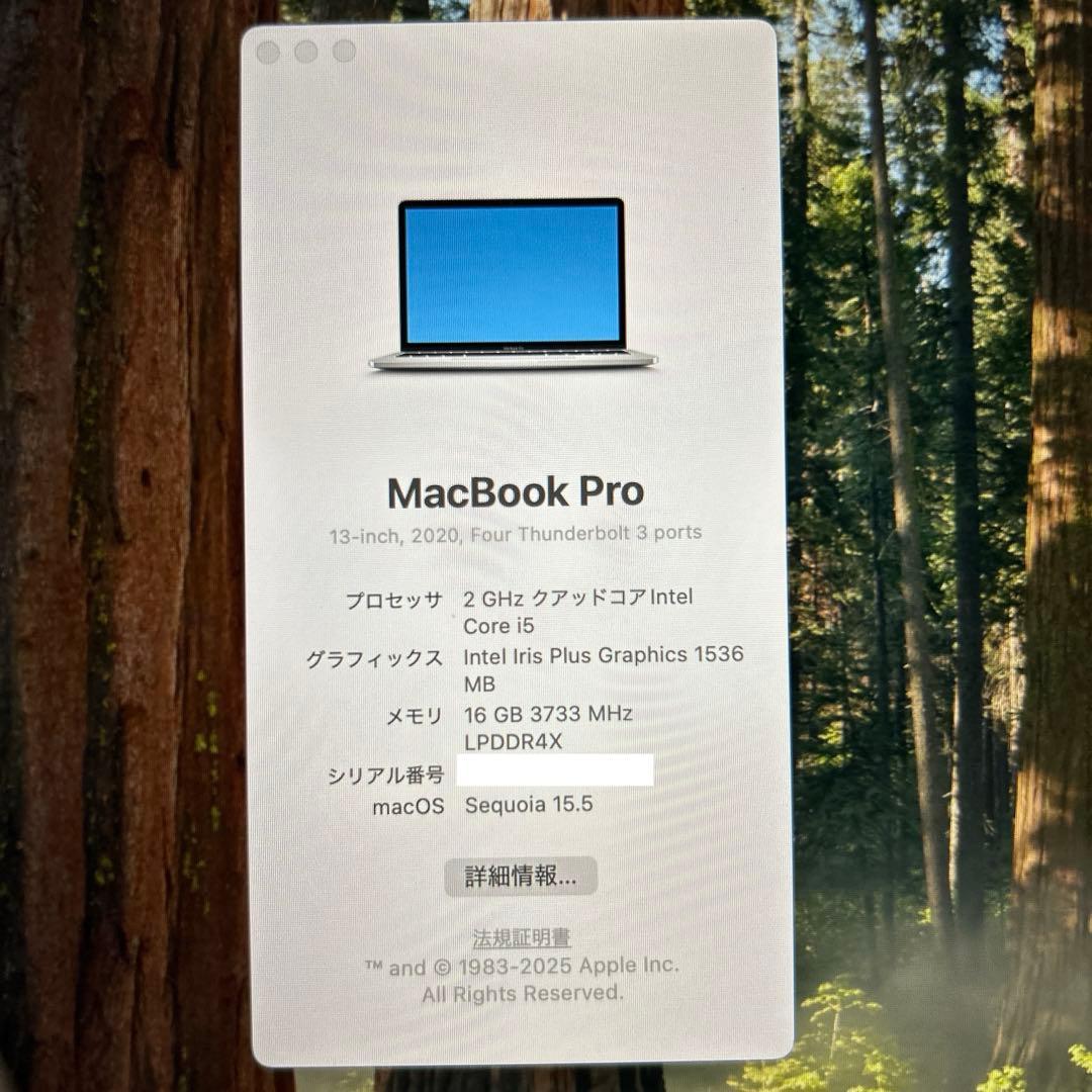 MacBook本体 MacBook Pro 2020 A2251 Core i5