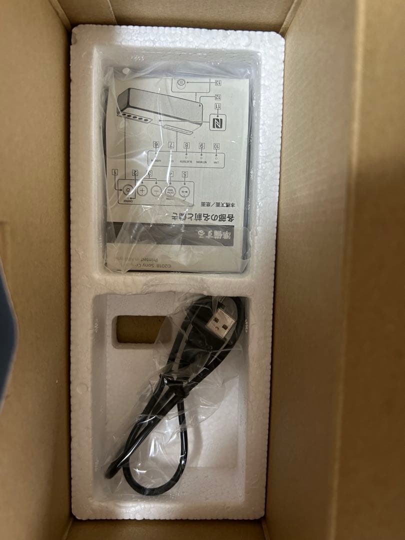 h.ear go 2 SRS-HG10 ムーンリッドブルー、ブラック　セット