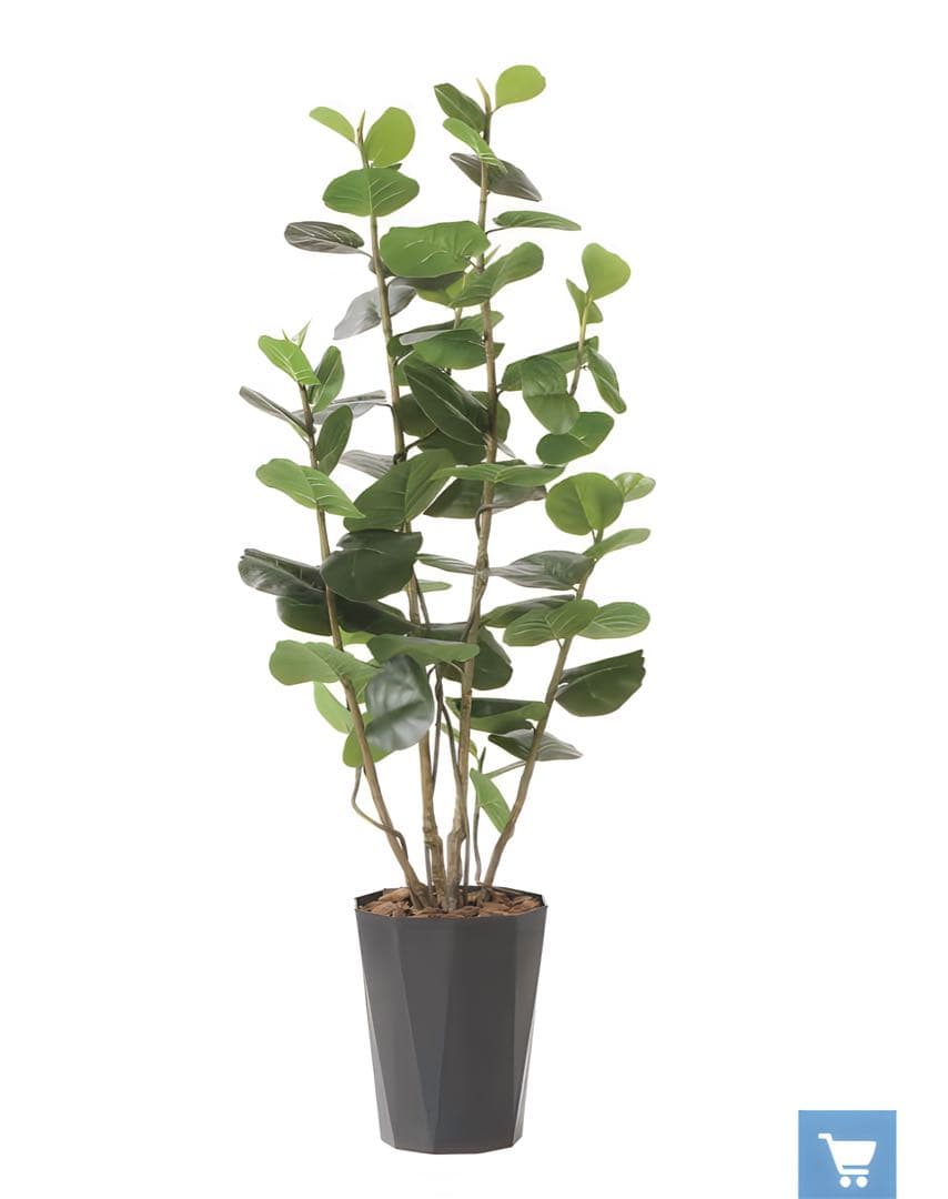 光触媒　人工観葉植物　フェイクグリーン　シーグレープDX 1.7m