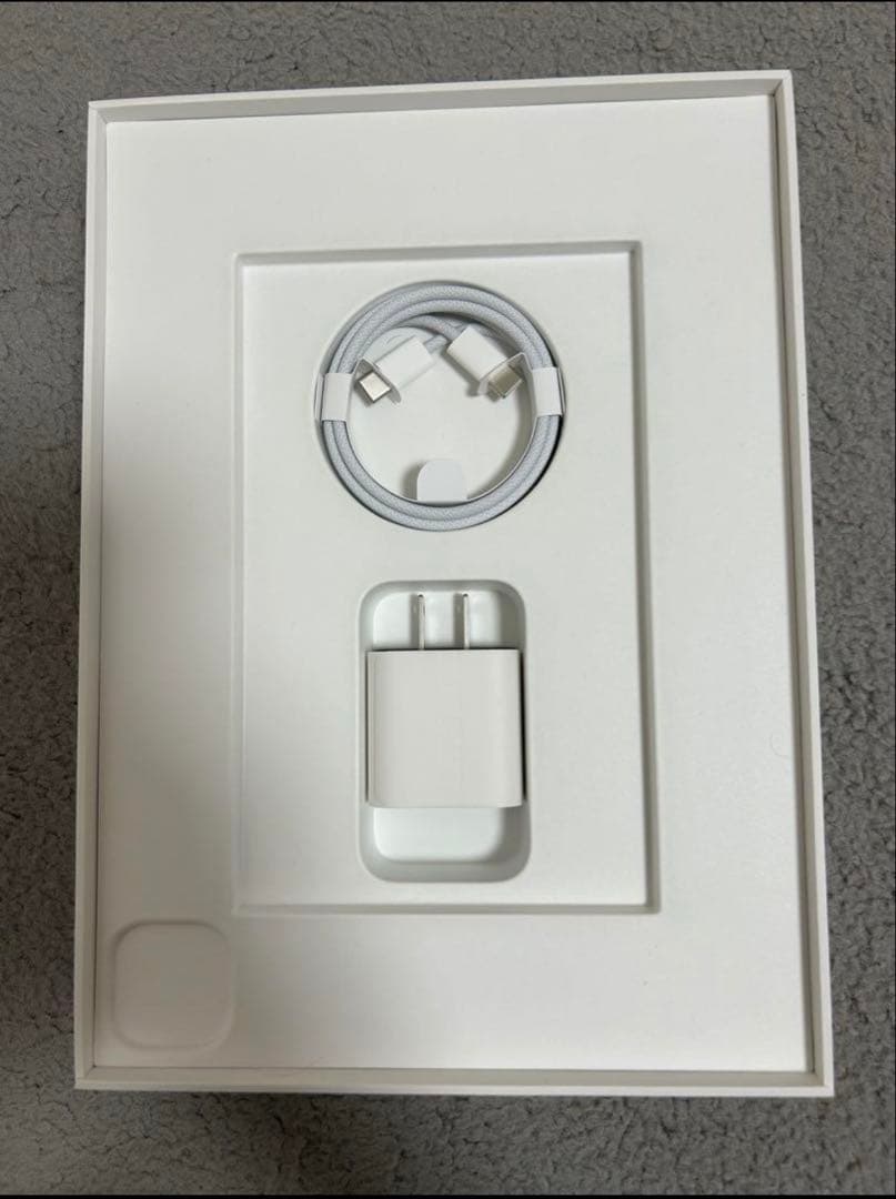 Apple iPad Pro 11インチ（第４世代）