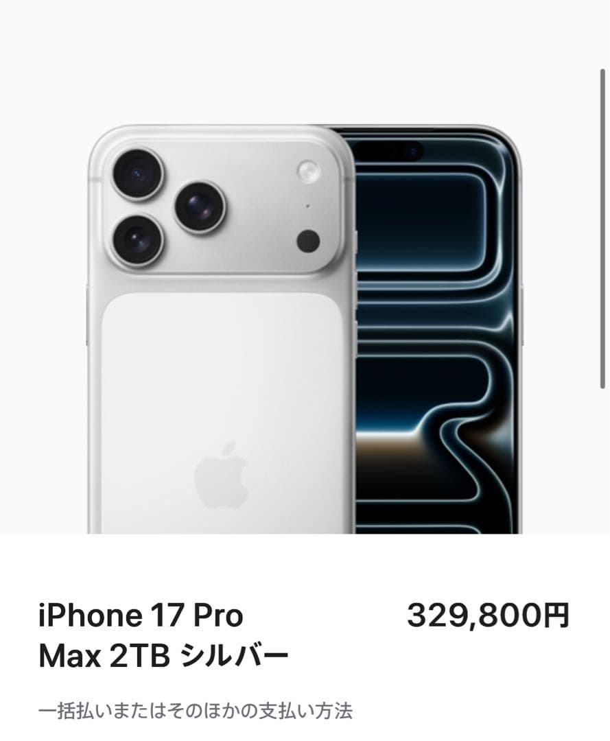 さ*な様 iPhone17 ProMax 2TB シルバー即日発送