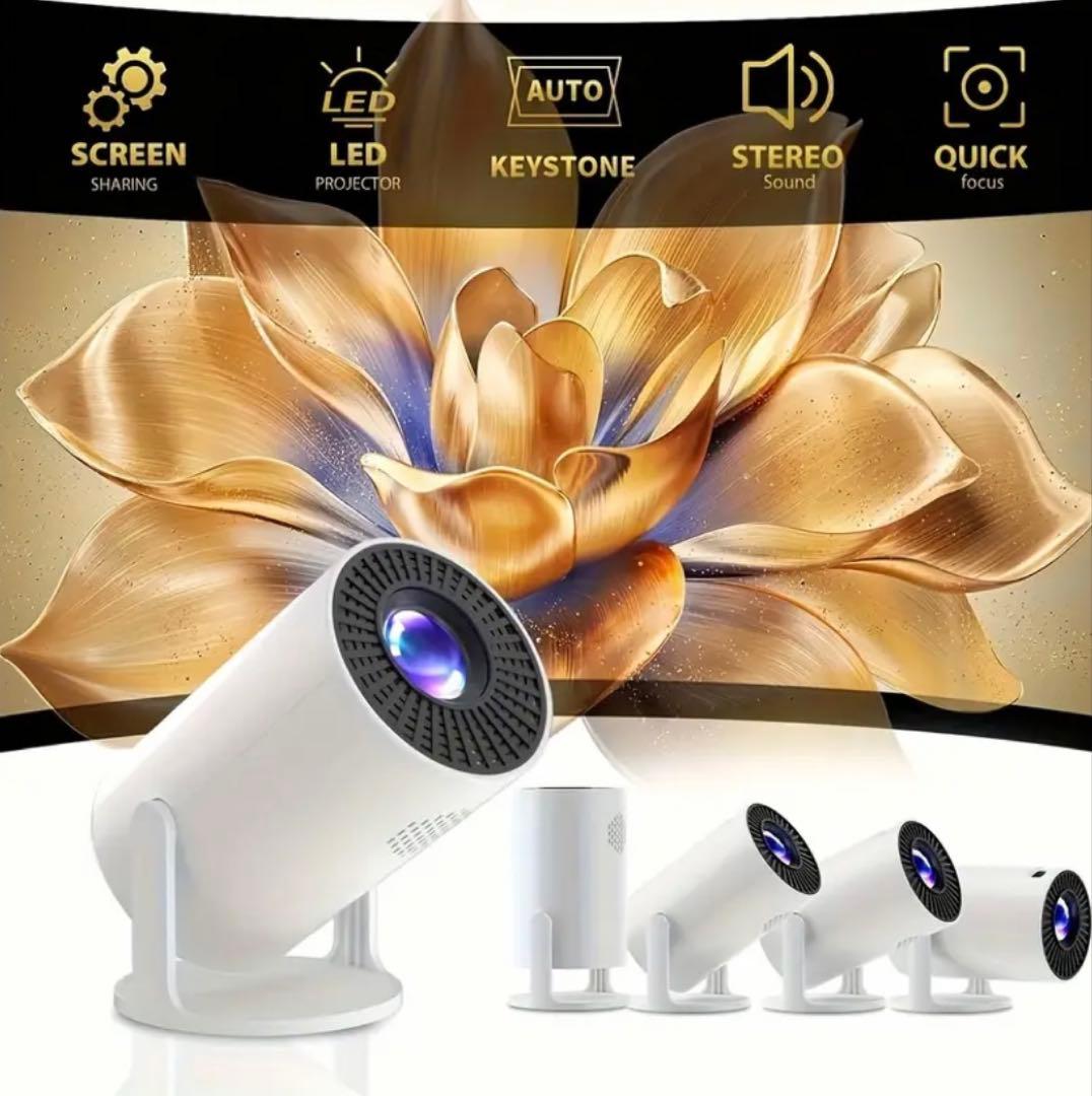 480pプロジェクター 100インチ対応