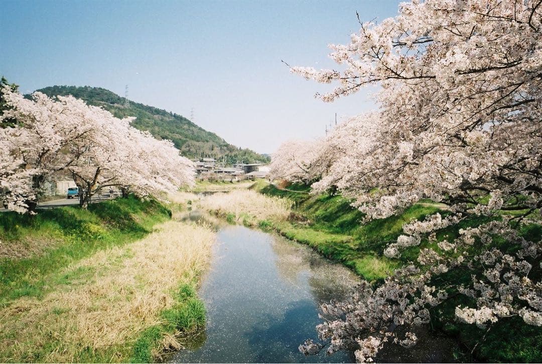 p*p様 【完動品】RICOH GR1s （フィルムセット）