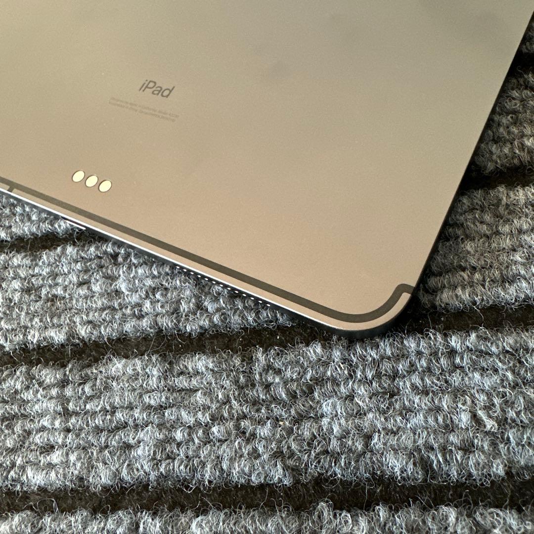 71【早い者勝ち】 ⭐︎iPad Pro 11インチ 2世代 256GB グレイ