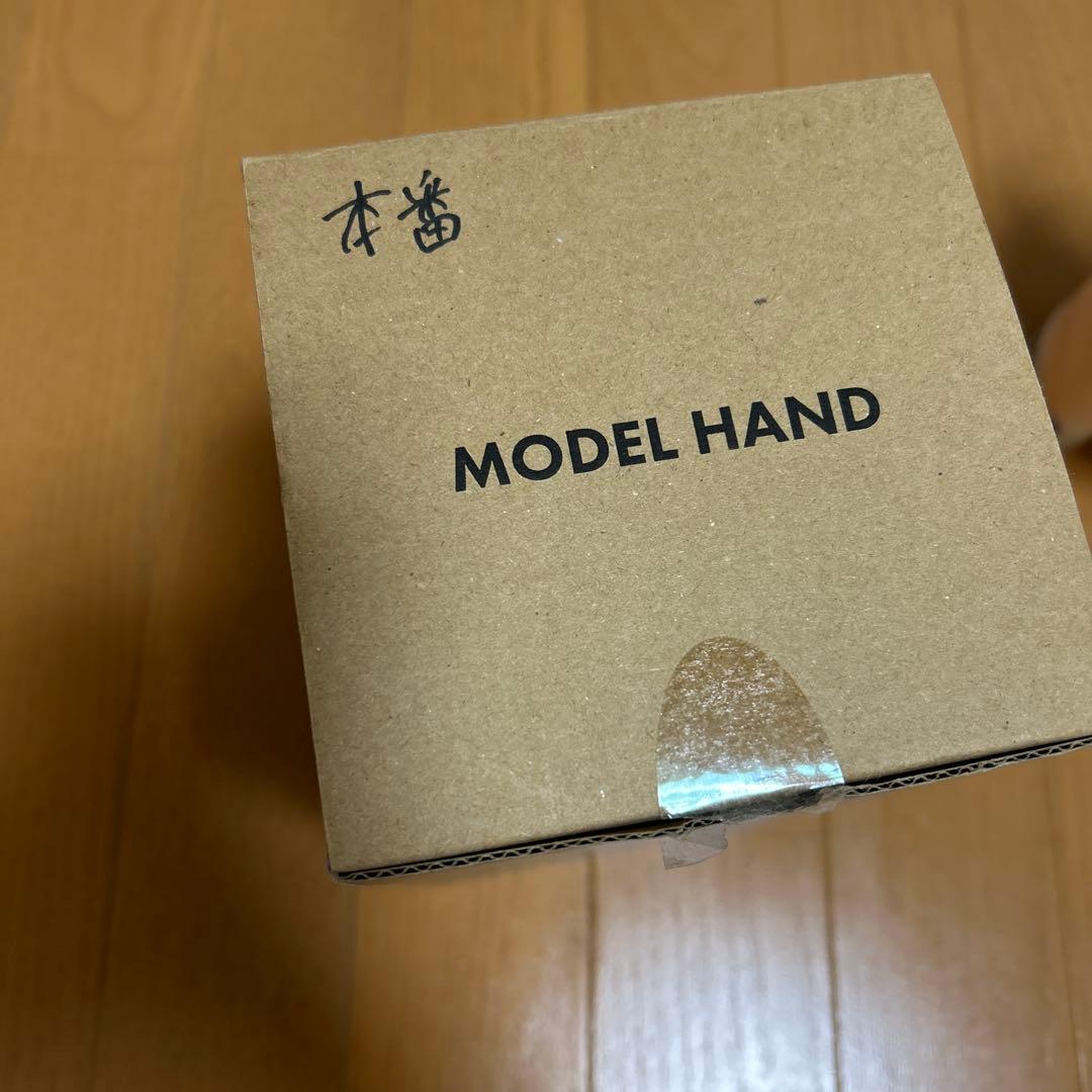 ST モデルハンド 両手