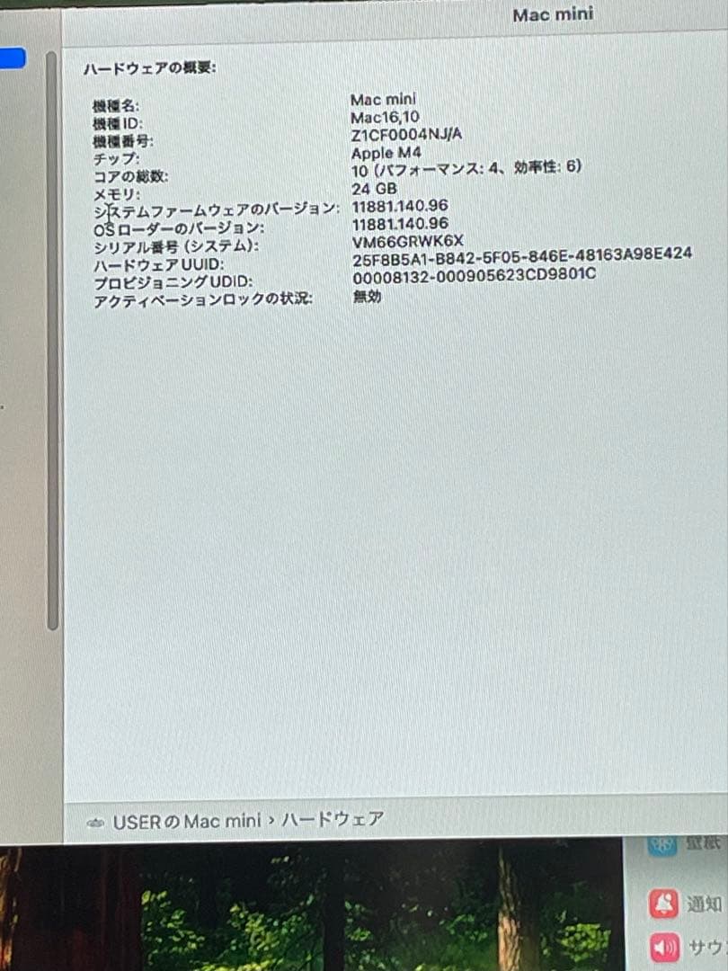 Apple M4チップ Mac mini 24GBメモリ 256GB ２０２４
