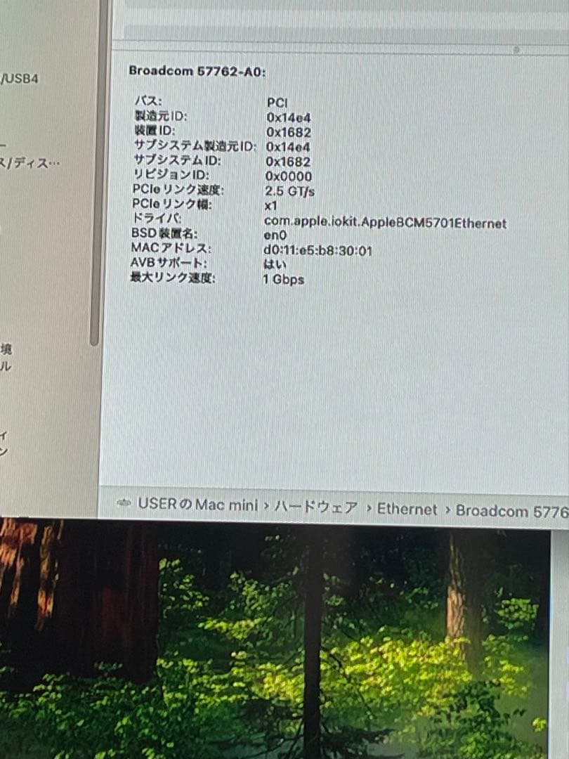 Apple M4チップ Mac mini 24GBメモリ 256GB ２０２４
