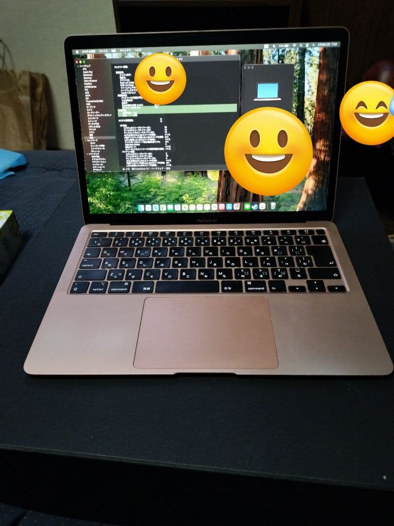 MacBook Air ゴールド 128GB SSD　Intel Core i5