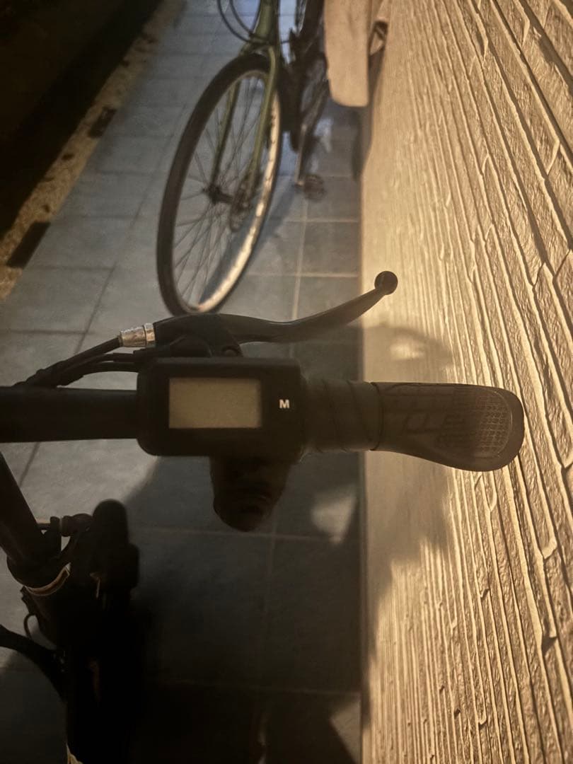 電動自転車 アシスト電動自転車