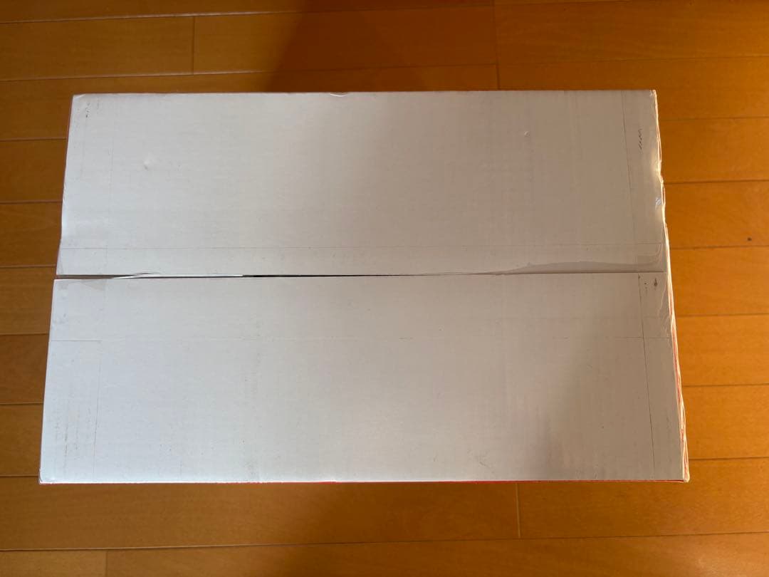 【本日発送】【新品未使用】ZAIGLE Party 2 ホットプレート