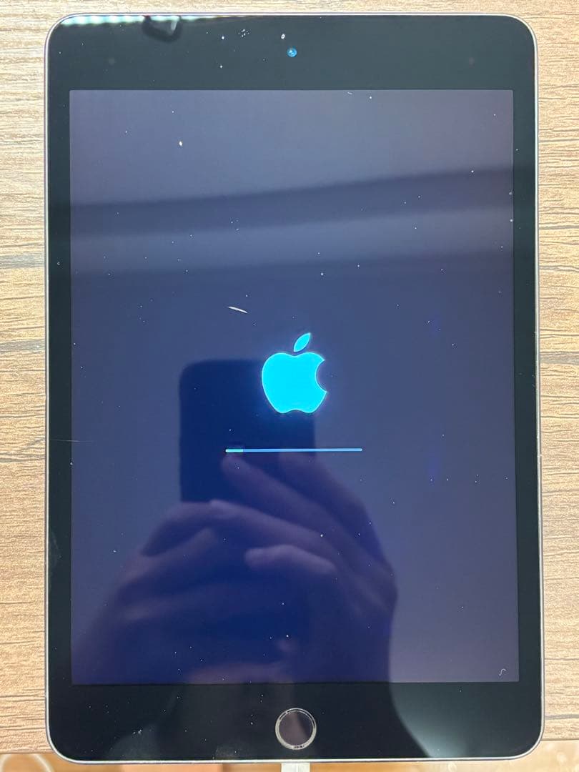 Apple iPad mini (第５世代) Wi-Fi 64GBスペースグレイ