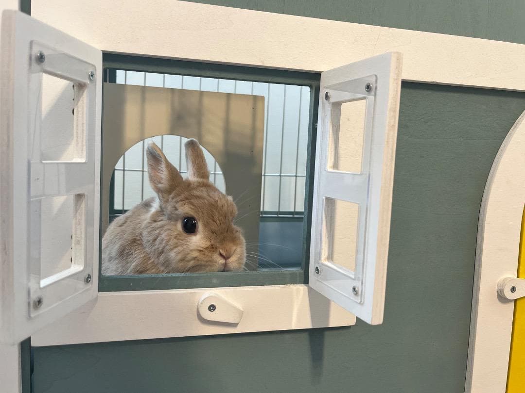 ＊訳あり激安！【もちつき】弐番館　北欧デザインペットハウス　うさぎ用ケージ