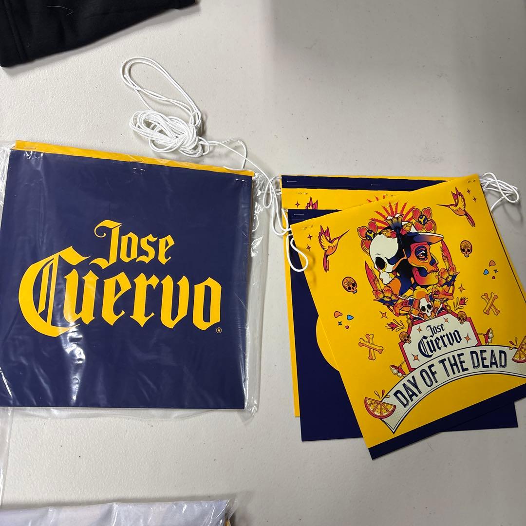 SKYY VODKA スカイウォッカ　ネオン　サインとクエルボグッズ