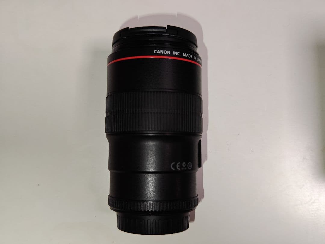 Canon EF100mm F2.8Lマクロ IS USM