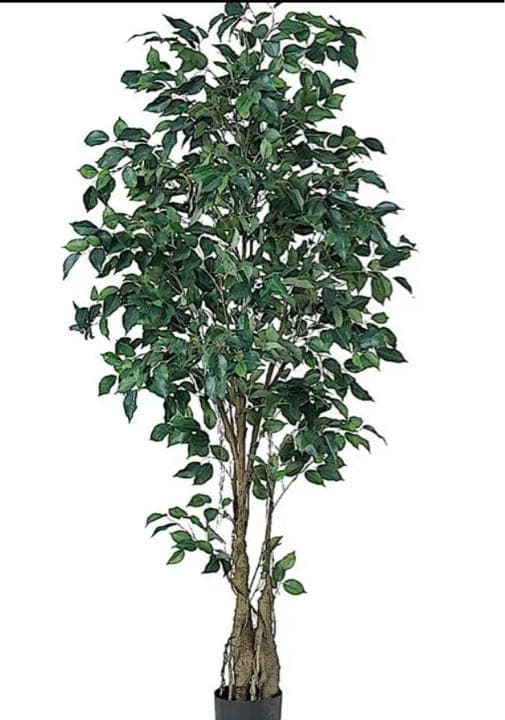 光触媒　人工観葉植物　ウォールグリーン　フェイクグリーン　フィカスツリー190