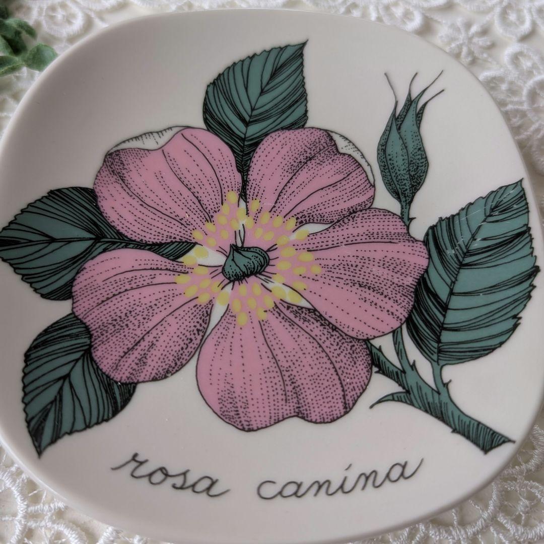 ARABIA アラビア ボタニカ ロサ・カニーナ Rosa canina