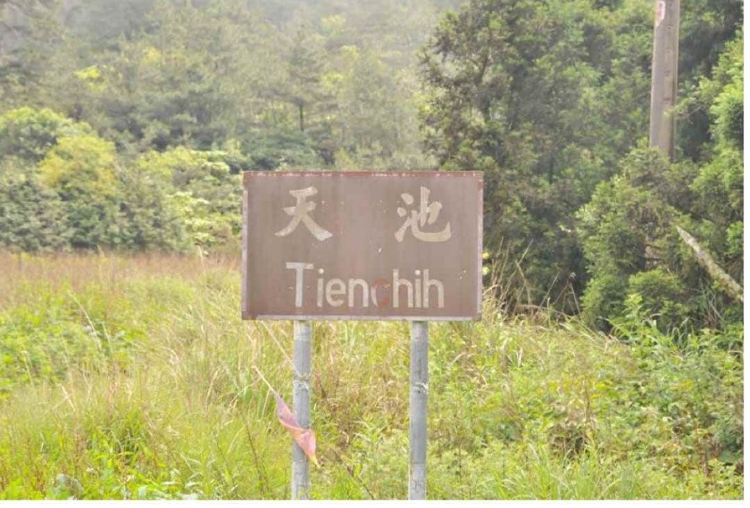 【台湾好茶】梨山 「天池」高冷茶 冬茶 75g