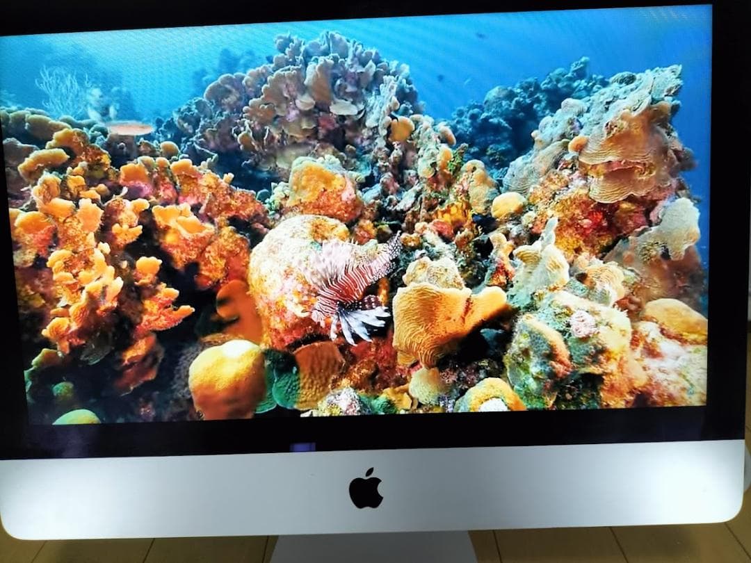 iMac 21.5 2015年　SSD