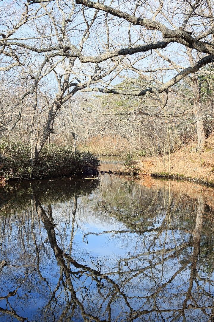 《希少》CANON FL 55mm F1.2 【光学美品】