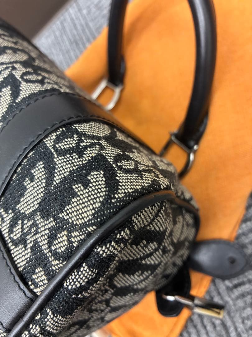 【極美品】DIORディオールトロッター