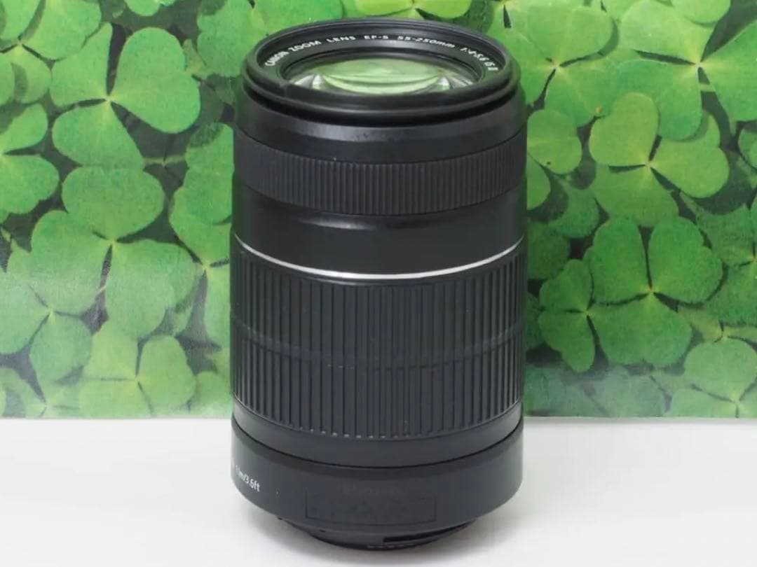 【美品】キャノンEF-S55-250mm ISⅡ手ブレ補正⭐️イベントで大活躍