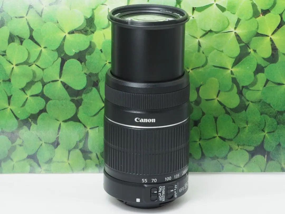 【美品】キャノンEF-S55-250mm ISⅡ手ブレ補正⭐️イベントで大活躍