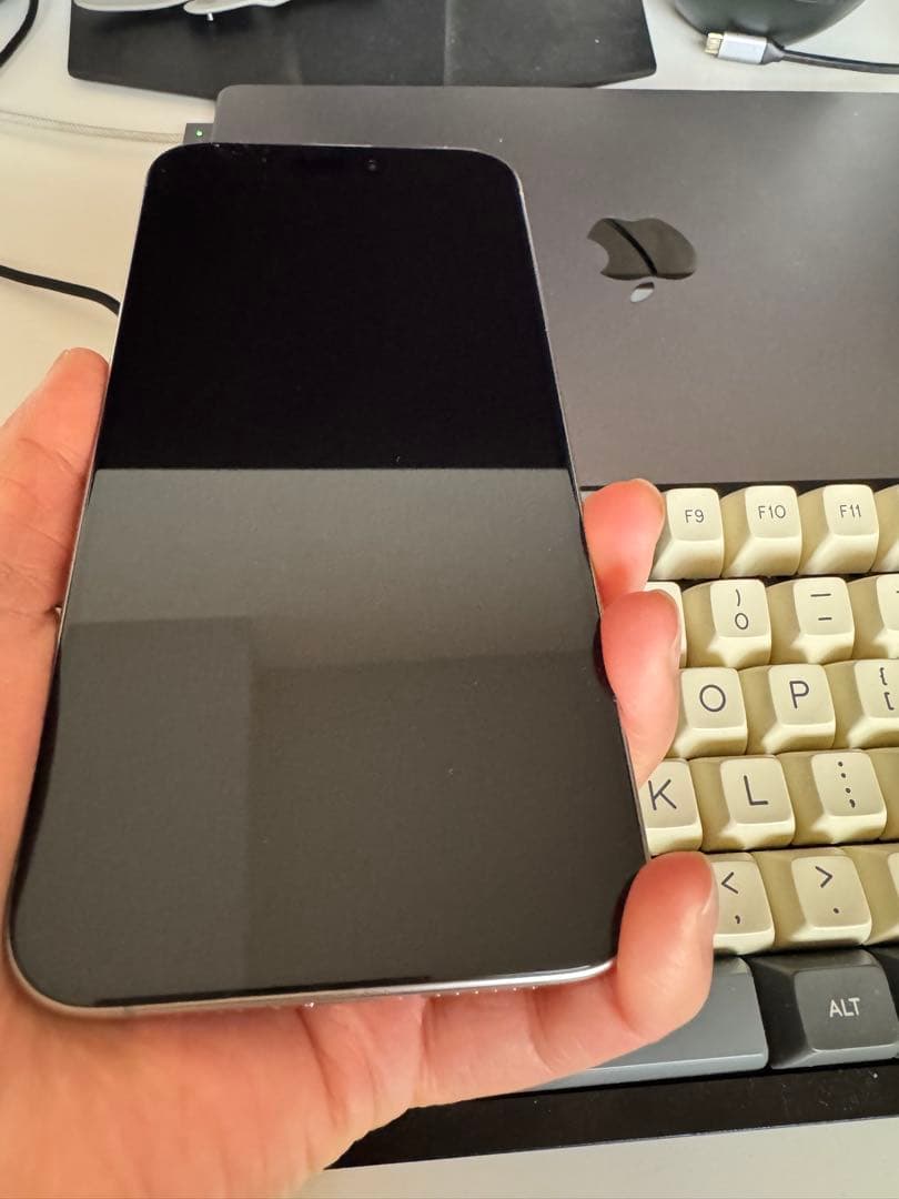 美品 iPhone 15Pro Max ナチュラルチタニウム 256GB