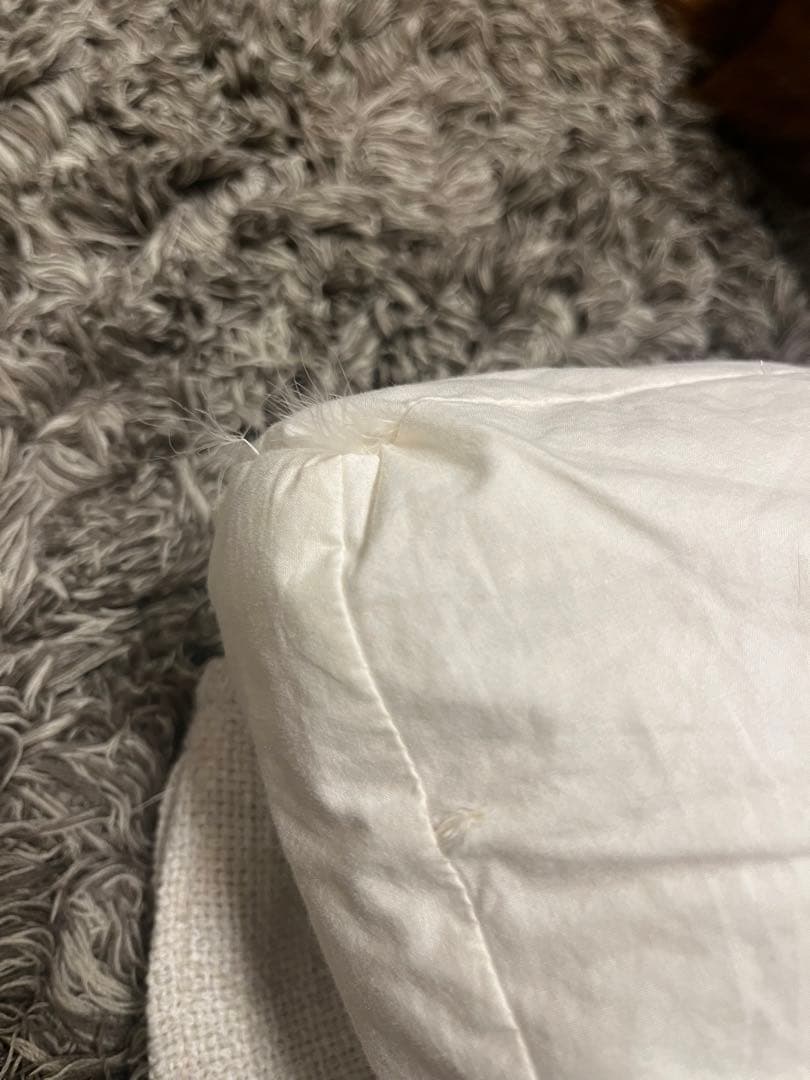 B&B Italia クッション　Charles チャールズ